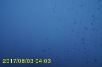 Img20170803_040311.jpg