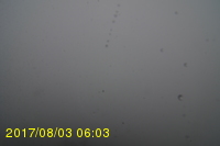 Img20170803_060319.jpg