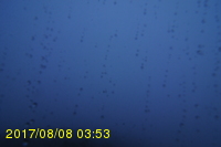 Img20170808_035338.jpg