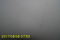Img20170808_075338.jpg