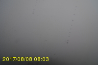 Img20170808_080338.jpg