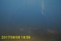 Img20170808_185930.jpg