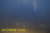 Img20170808_190431.jpg