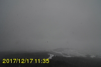 Img20171217_113506.jpg