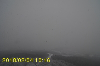 Img20180204_101625.jpg
