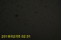 Img20180205_023139.jpg