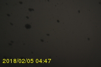 Img20180205_044707.jpg