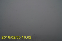 Img20180205_100207.jpg