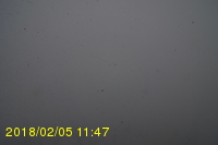 Img20180205_114707.jpg