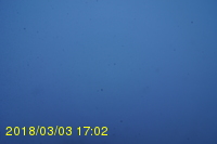 Img20180303_170225.jpg