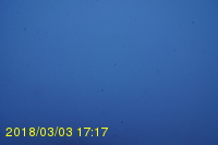 Img20180303_171724.jpg
