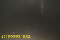 Img20180303_190225.jpg