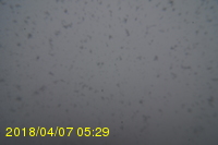Img20180407_052919.jpg