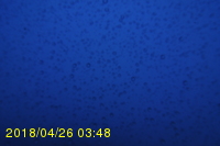 Img20180426_034831.jpg