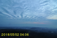 Img20180502_040656.jpg