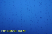 Img20180503_035254.jpg
