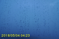 Img20180504_042300.jpg