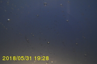 Img20180531_192827.jpg