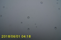 Img20180601_041856.jpg