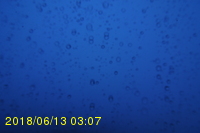 Img20180613_030704.jpg
