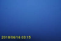 Img20180616_031527.jpg