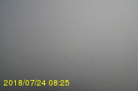 Img20180724_082554.jpg