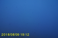Img20180809_191216.jpg