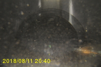 Img20180811_204041.jpg