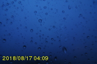 Img20180817_040937.jpg