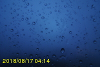 Img20180817_041437.jpg