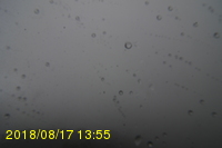 Img20180817_135516.jpg