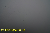 Img20180824_165617.jpg