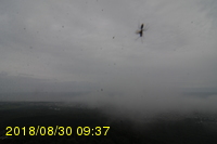 Img20180830_093747.jpg