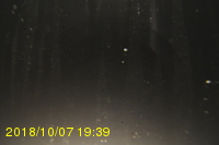 Img20181007_193928.jpg