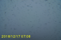 Img20181217_070847.jpg