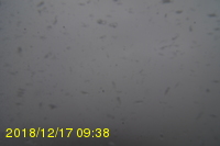 Img20181217_093847.jpg