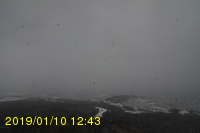 Img20190110_124353.jpg