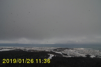 Img20190126_113631.jpg
