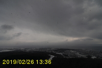 Img20190226_133628.jpg