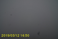 Img20190312_165041.jpg