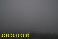 Img20190313_083541.jpg