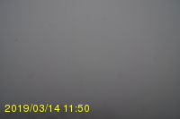 Img20190314_115042.jpg