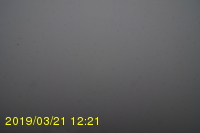 Img20190321_122101.jpg