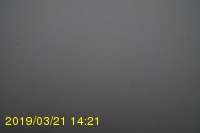 Img20190321_142101.jpg
