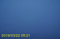 Img20190322_052102.jpg