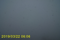 Img20190322_060602.jpg
