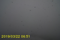 Img20190322_065102.jpg