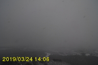 Img20190324_140608.jpg