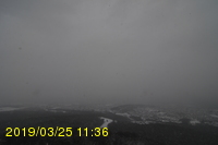 Img20190325_113631.jpg
