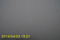 Img20190403_152153.jpg